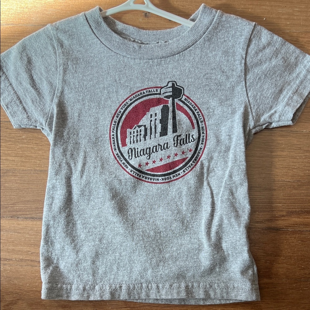 3 for $9 
NWOT Rabbit Skins Niagara Falls Gray Kids T-Shirt, size 24M